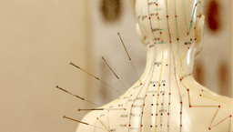 Image for Acupuncture Initial Assessment and treatment 